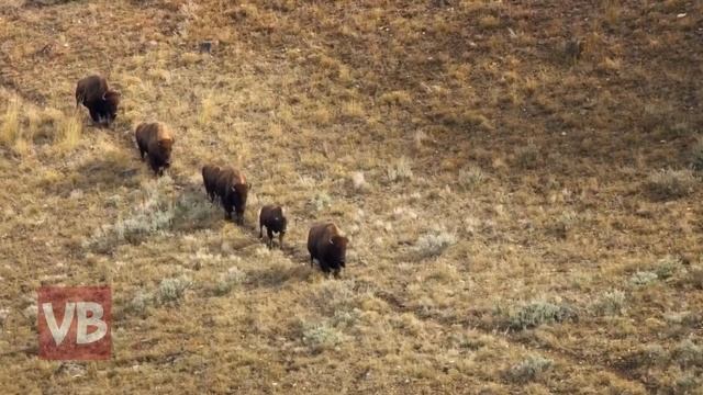 НАЦИОНАЛЬНЫЙ ПАРК ЙЕЛЛОУСТОУН | СУПЕРВУЛКАН | путешествие по америке 2018 смотреть онлайн