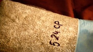 Вешенка, Как правильно хранить мицелий.