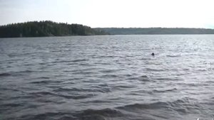 vatravel.ru  Ладожское озеро у д.Хийденсельга (Карелия)