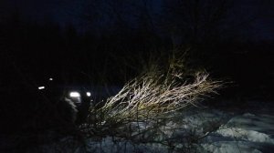 Ночные заезды по снегу