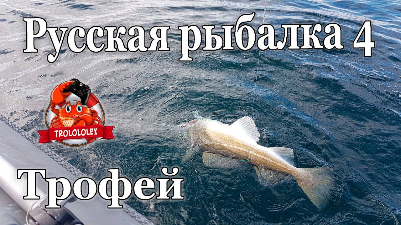 Русская рыбалка 4 Фарм Норвежское море Трофей смотреть онлайн