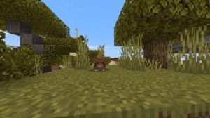 Armadillo Add-on | Minecraft Mob Vote 2023