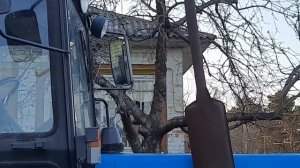 Воробьи увидев своё отражение в зеркале бьются в него!