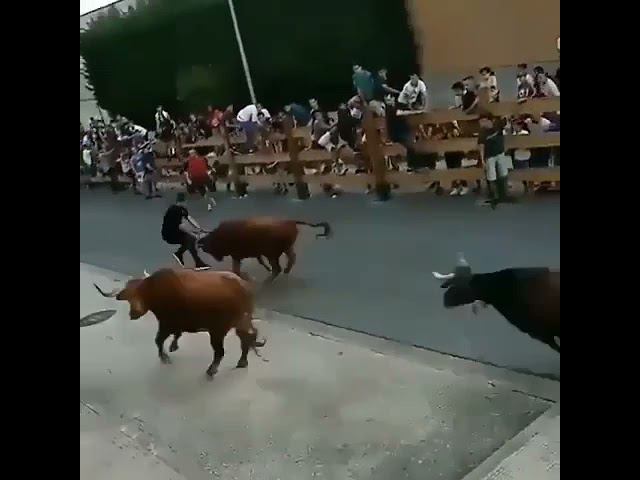 ЕБР глумится над тяжами))) смотреть онлайн