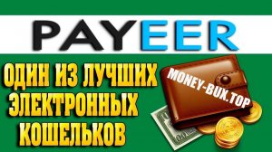 КАК СОЗДАТЬ КОШЕЛЕК PAYEER ⭐⭐⭐