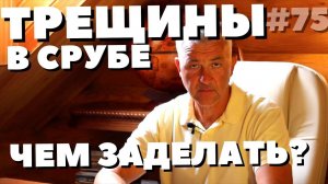 ТРЕЩИНЫ В СРУБЕ ПРОБЛЕМА?. Чем заделать трещины в брусе. Чем заделать трещины в бревнах.