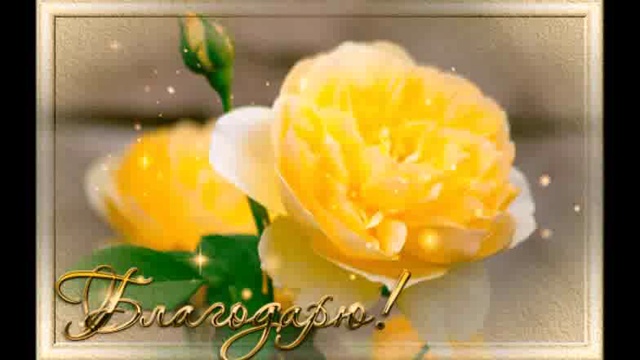 Ион Суручану В этот вечер смотреть онлайн