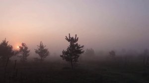 "Баллада о правде и лжи" Владимир Высоцкий