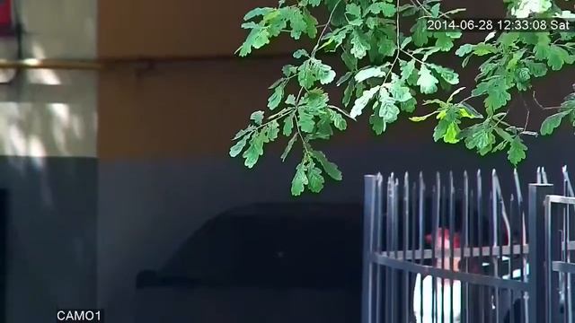 PTZ камеры | Обзор смотреть онлайн