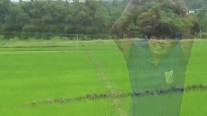 CLIP CA NHAC DONG XANH BONG BOT