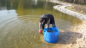 Запускаю белугу в пруд. Насос на голосовом управлении.