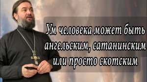 Зло побеждает на время. Протоиерей Андрей Ткачёв.