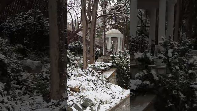 #АССА#ЯЛТА# БорисГребенщиков# смотреть онлайн