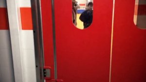 Маятниковая дверь с двумя осями перелома "Platinum" для складов, магазинов и торговых комплексов