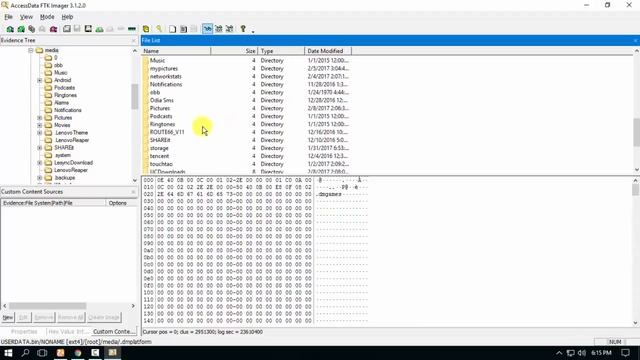 Extract DATA from a dump using FTK Imager