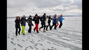 Эмоциональное лидерство