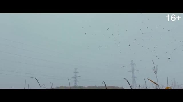 «Страшные истории для рассказа в темноте»  2019: финальный русский трейлер