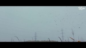 «Страшные истории для рассказа в темноте»  2019: финальный русский трейлер