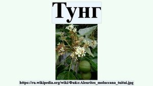 Тунг