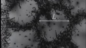 Пластическая деформация металлов (360p).mp4