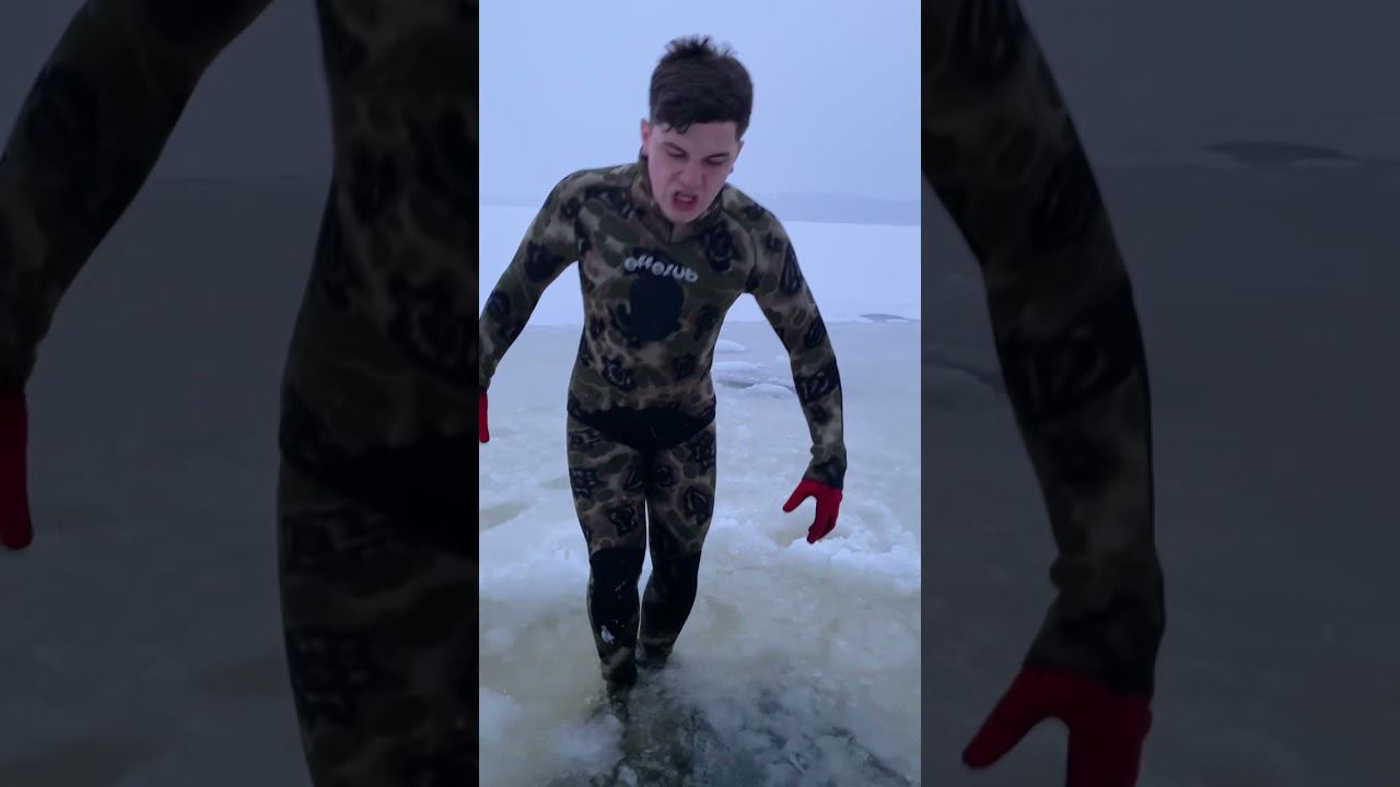 Жизнь виа находки во льдах. Жизнь виа находки во льдах