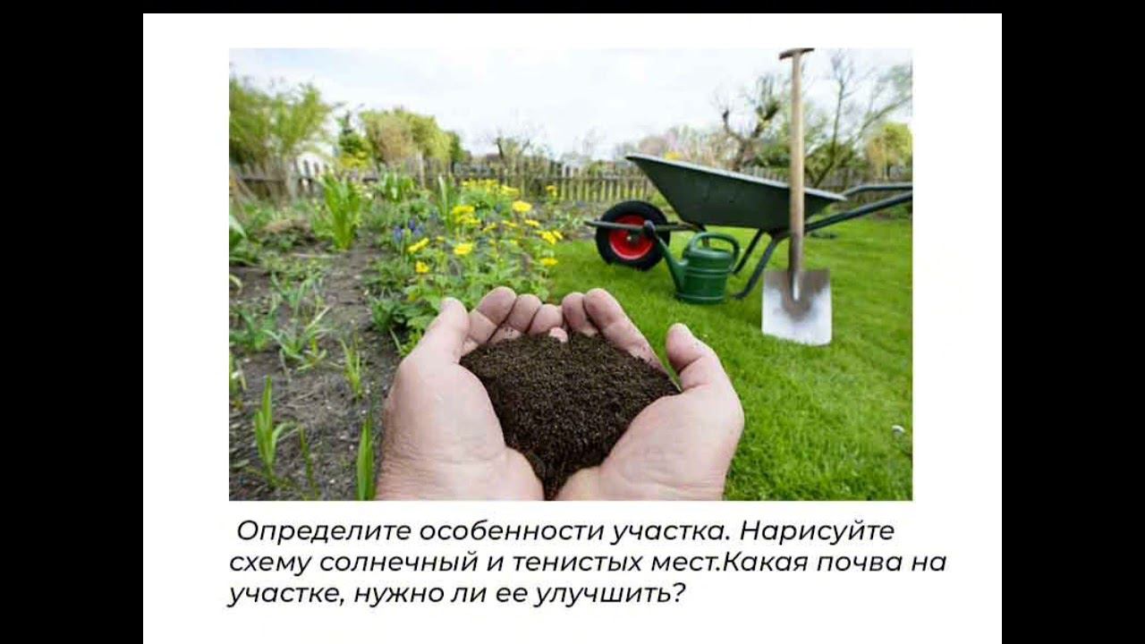 КАК УЛУЧШИТЬ САД?