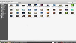 Настройка и тонкости Nemo (файловый менеджер в Linux)