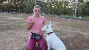 Чем и насколько опасен бультерьер и его характер? Как сделать собаку злой? Мифы о бультерьерах