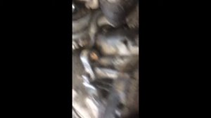 Замена тормозных накладок man tga. Ремонт супорта