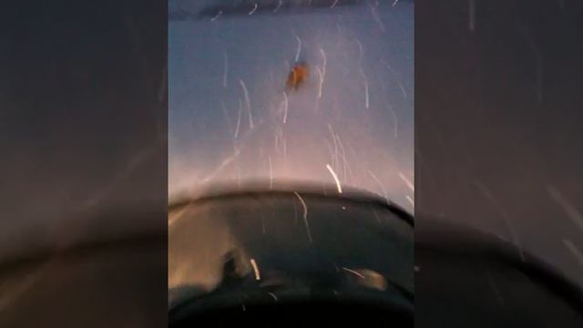 инфо 009.MOV смотреть онлайн