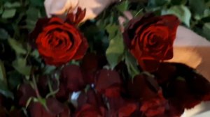 Сравнение сортов роз от Эквадорских плантаций - Эксплорер, Топ Эксплорер и Борн Фри