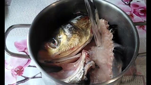 Готуємо 2 страви із ТОВСТОЛОБА. Як я готую рибний холодець. смотреть онлайн