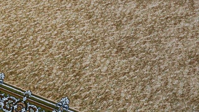 ЛИФТЫ В МГУ! ЛИФТЫ SCHINDLER 2018 Г С СИСТЕМОЙ PORT (ГЗ МГУ) смотреть онлайн