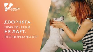 Дворняга практически не лает. Это нормально?
