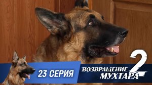 «Возвращение Мухтара — 2». 23 серия. «Шеф большой, шеф маленький»