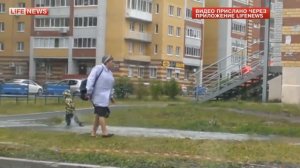 тирьям тирьярим трям тирьям