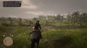 Red Dead Redemption 2 незнакомец на болотах