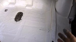 Как  заварить  без сварочника (на  шовный герметик)+багажник Волги★Вольга Всеславьевна★МИРовой влог