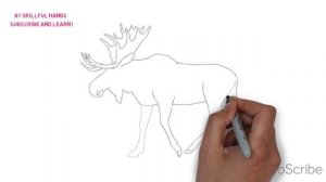 How to Draw a Moose / Как нарисовать лося