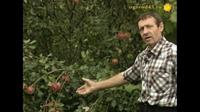 Уэлси в Сибири