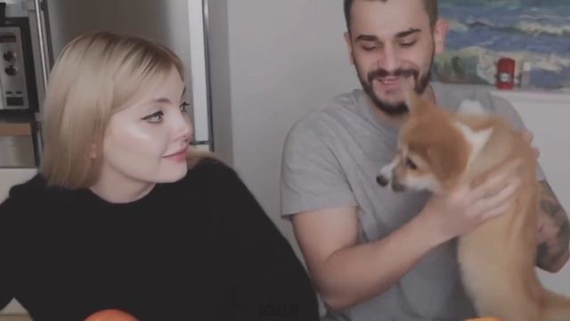 КОМУ ДОСТАНЕТСЯ ЮЛИК? - РУСЛИК или МИРЛИК смотреть онлайн