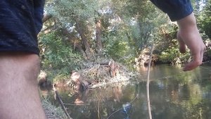 Рыбалка. бешеный клев бычка-(подкаменщика)