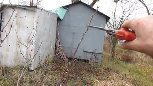 ОБРЕЗКА ВИШНИ. Простые правила обрезки