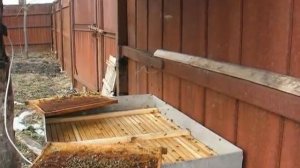 Подогреваемая поилка для пчел