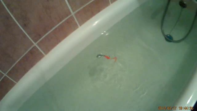 айс джиг (ice jig) смотреть онлайн