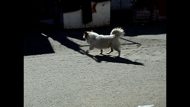 челночницы-16 смотреть онлайн