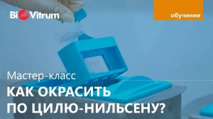 Окраска по Цилю Нильсену