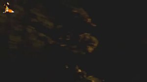 Dark Souls dragon form ... (Rus) [озвучил FoxHom]