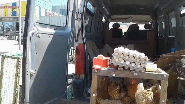 ❤НОВОСИБИРСК.ЛЕНИНСКИЙ РЫНОК.ПТИЦА❤