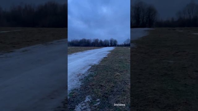 Как сохранить сено. Кормление #герефорд #коровы #сено #корма #заготовка #хранение #укрытие #ферма смотреть онлайн